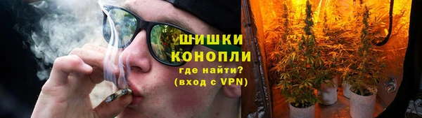 сатива Аркадак